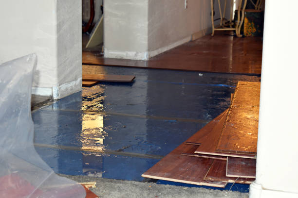 Professional Sewage Cleanup technician working in Black Earth, WI